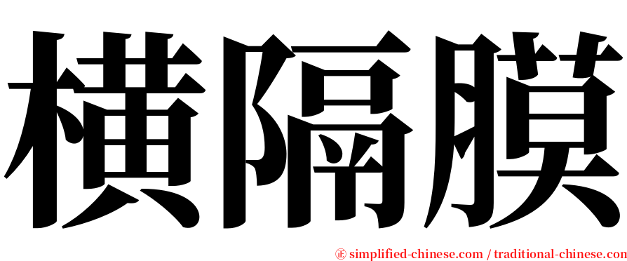 横隔膜 serif font