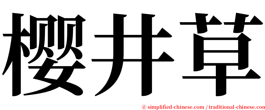 樱井草 serif font