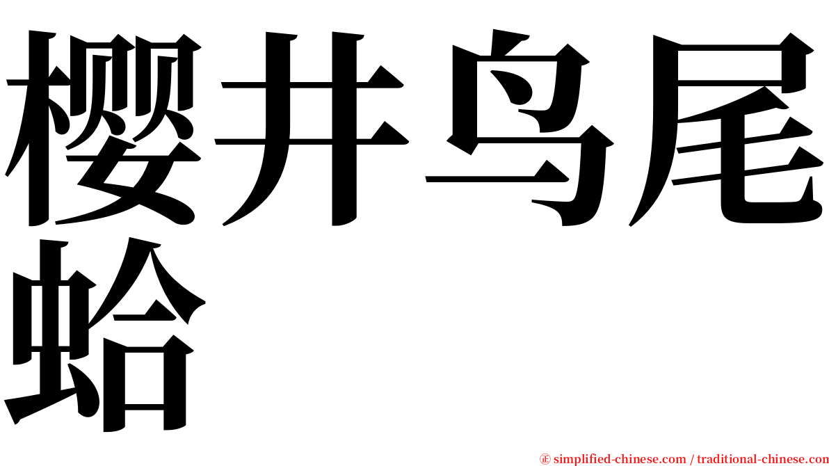 樱井鸟尾蛤 serif font