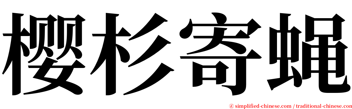 樱杉寄蝇 serif font