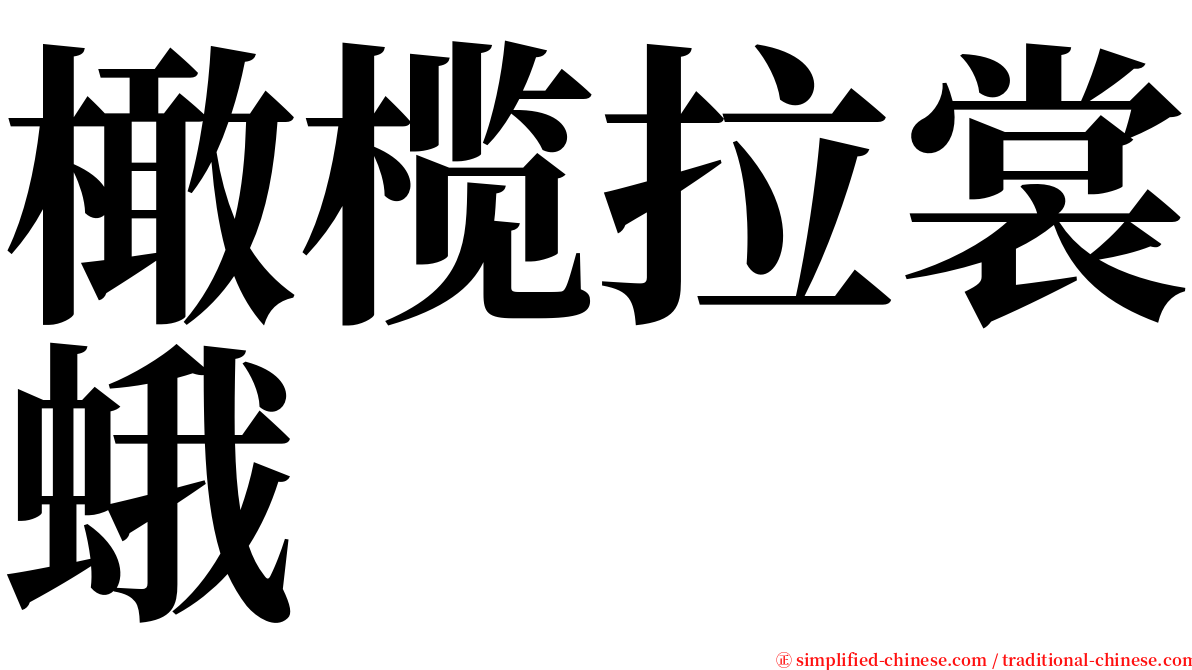 橄榄拉裳蛾 serif font