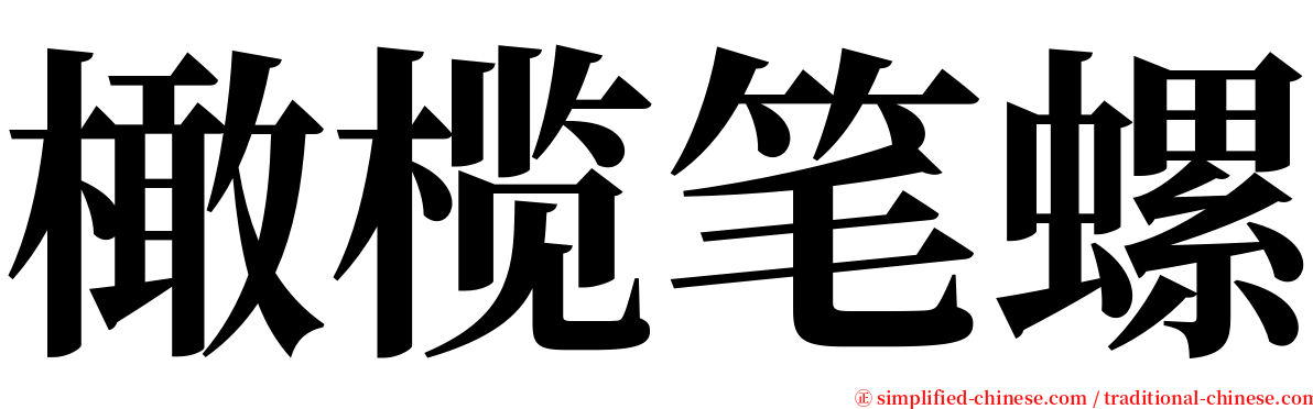 橄榄笔螺 serif font