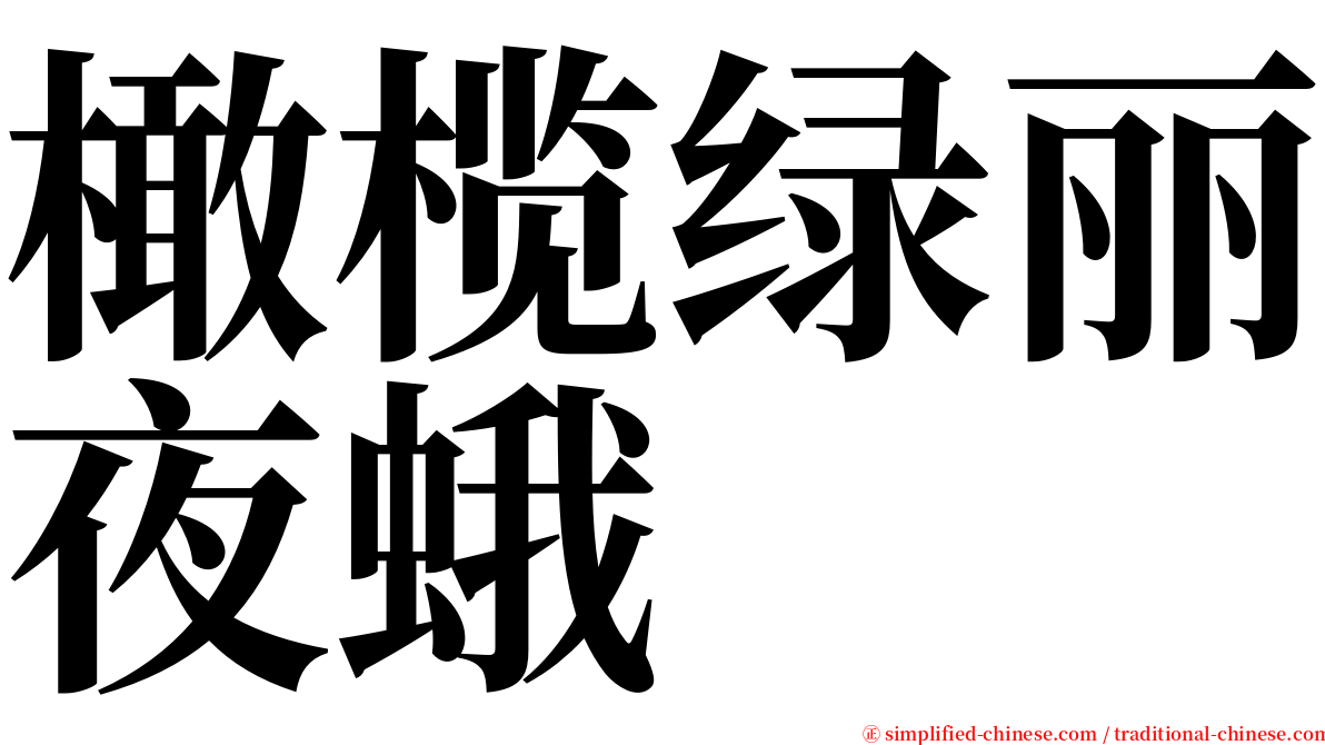 橄榄绿丽夜蛾 serif font