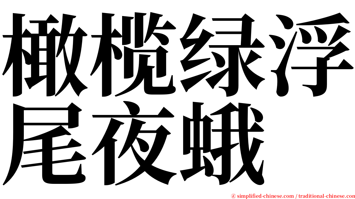 橄榄绿浮尾夜蛾 serif font