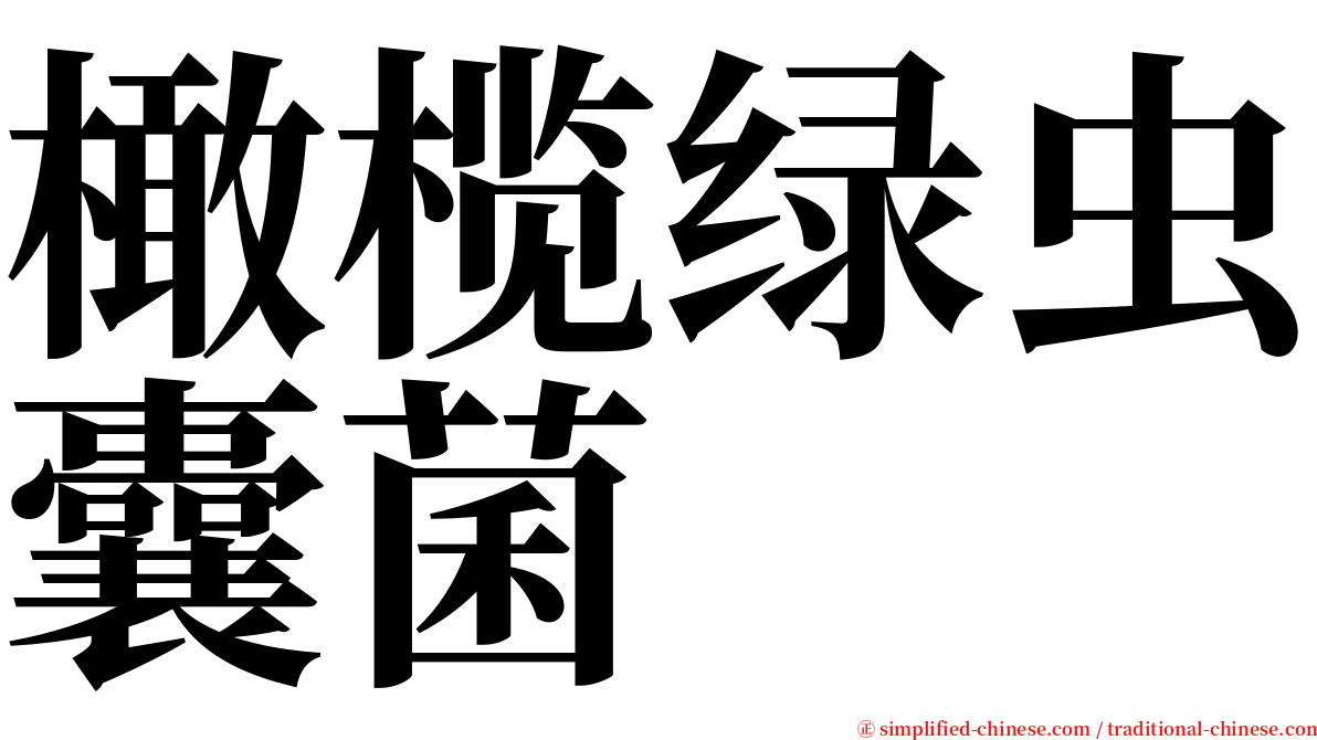 橄榄绿虫囊菌 serif font
