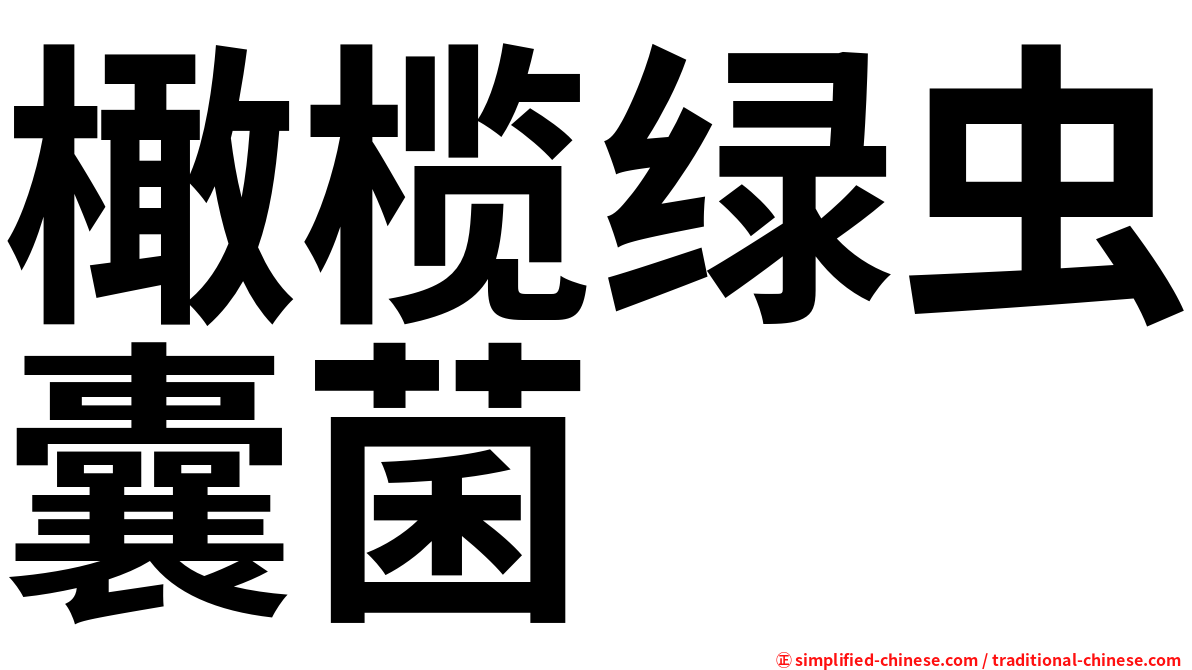橄榄绿虫囊菌