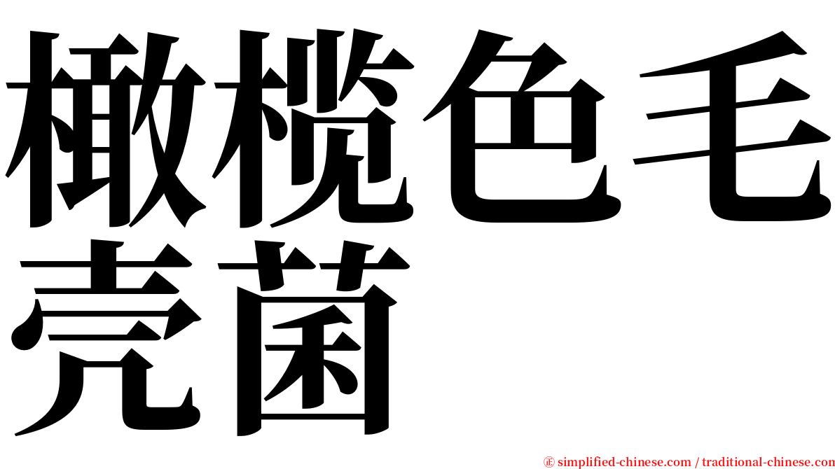 橄榄色毛壳菌 serif font