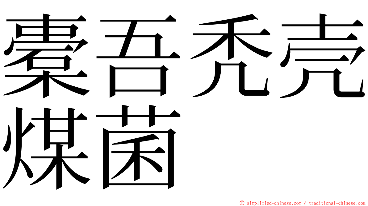 橐吾秃壳煤菌 ming font