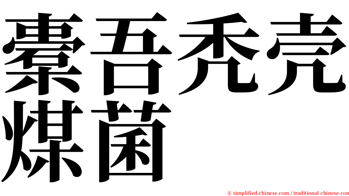 橐吾秃壳煤菌 serif font