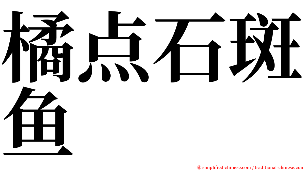 橘点石斑鱼 serif font