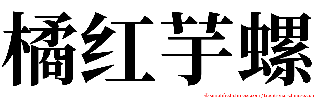 橘红芋螺 serif font