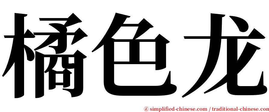 橘色龙 serif font