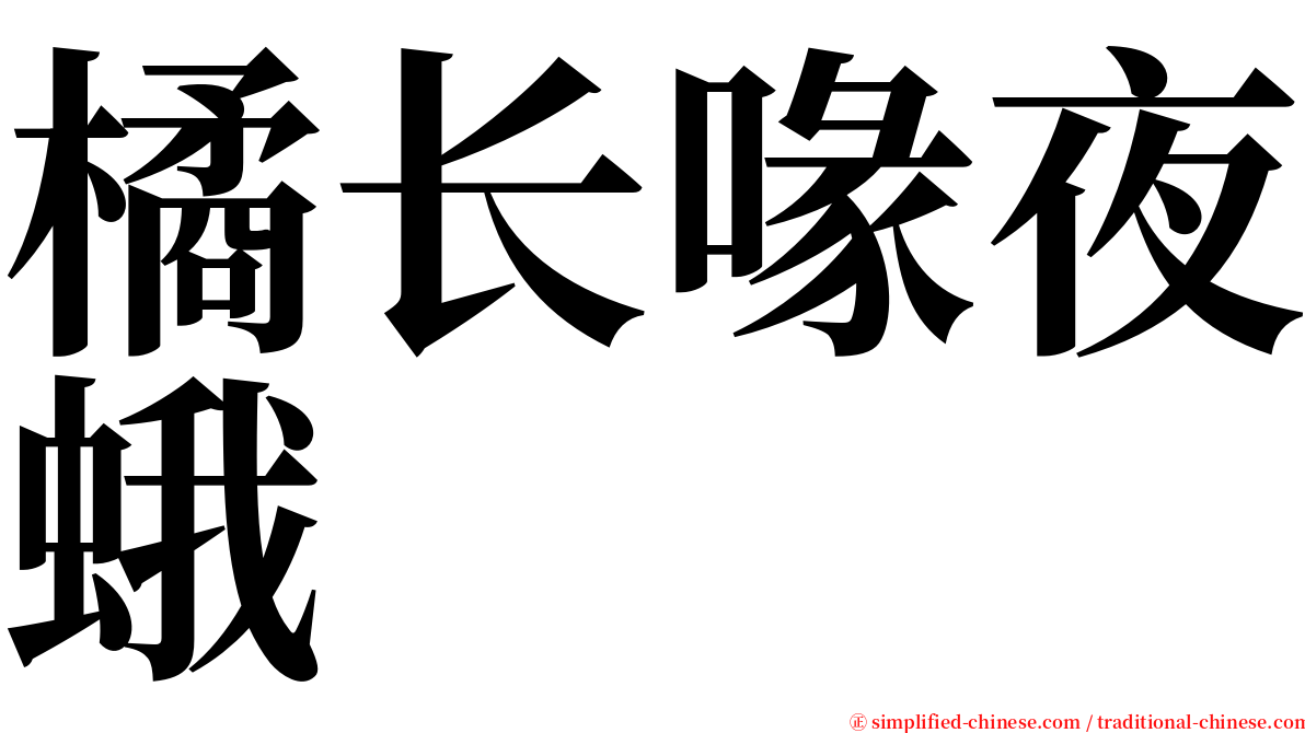 橘长喙夜蛾 serif font