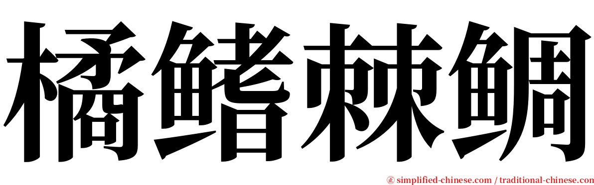 橘鳍棘鲷 serif font