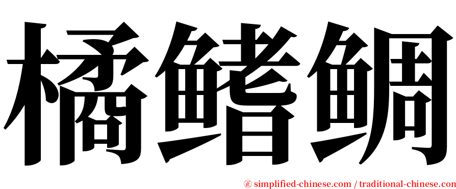 橘鳍鲷 serif font