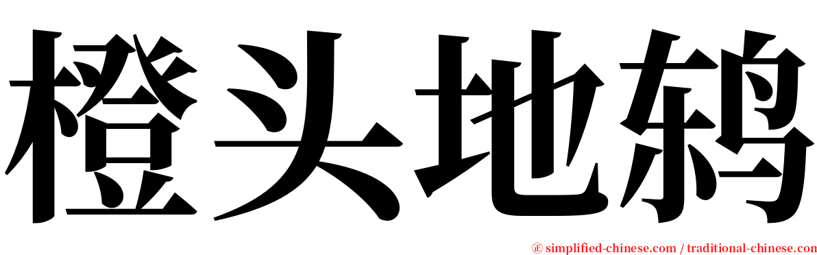 橙头地鸫 serif font