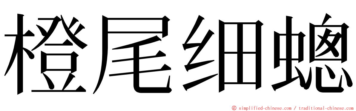 橙尾细蟌 ming font