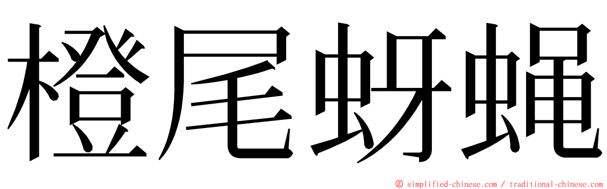 橙尾蚜蝇 ming font