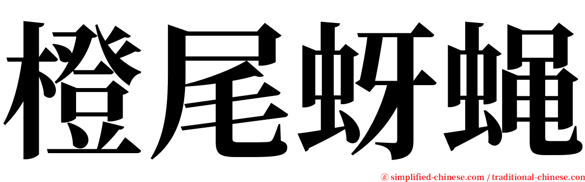 橙尾蚜蝇 serif font