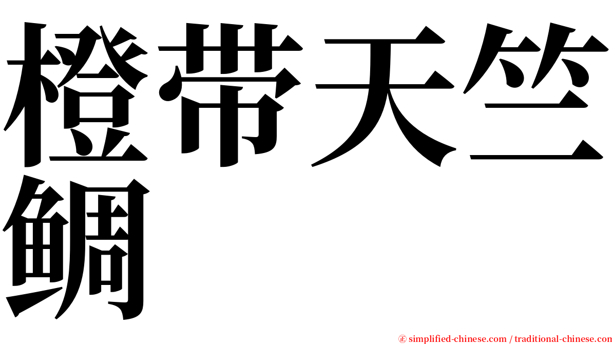 橙带天竺鲷 serif font