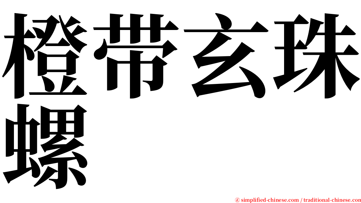 橙带玄珠螺 serif font