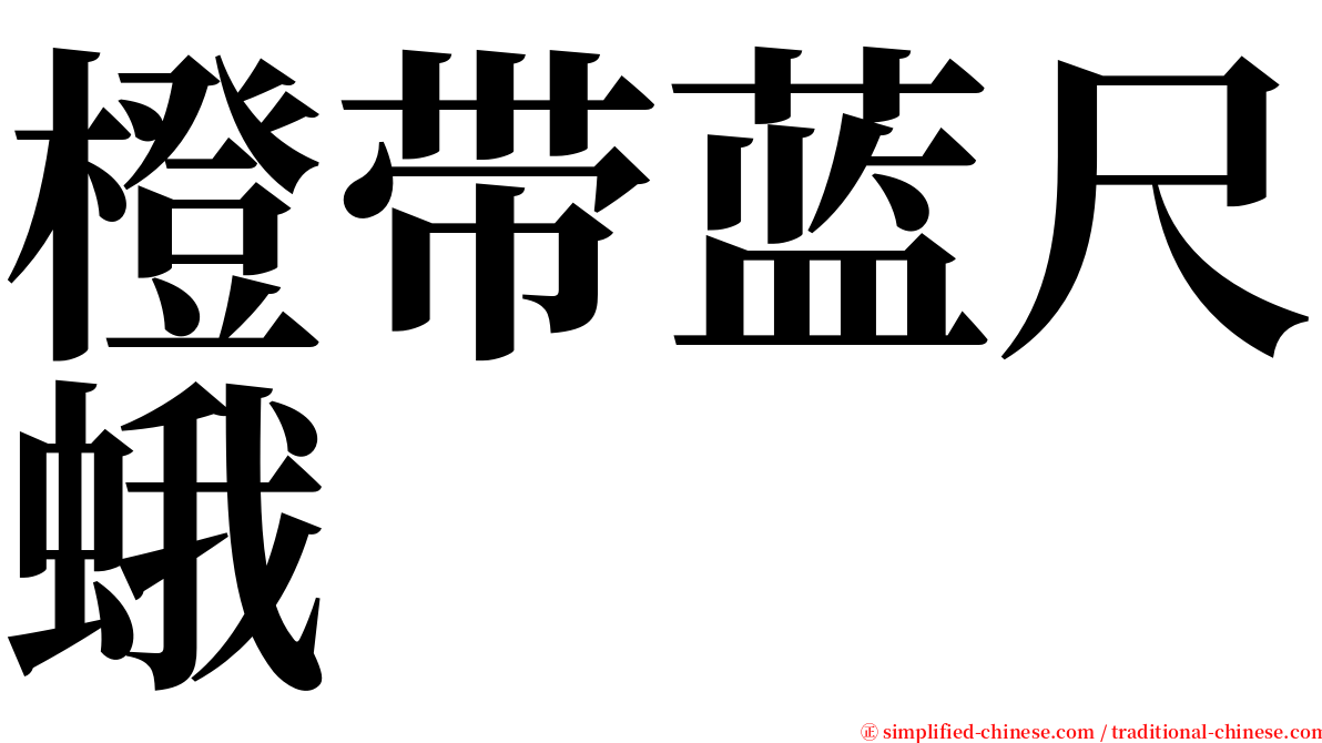 橙带蓝尺蛾 serif font