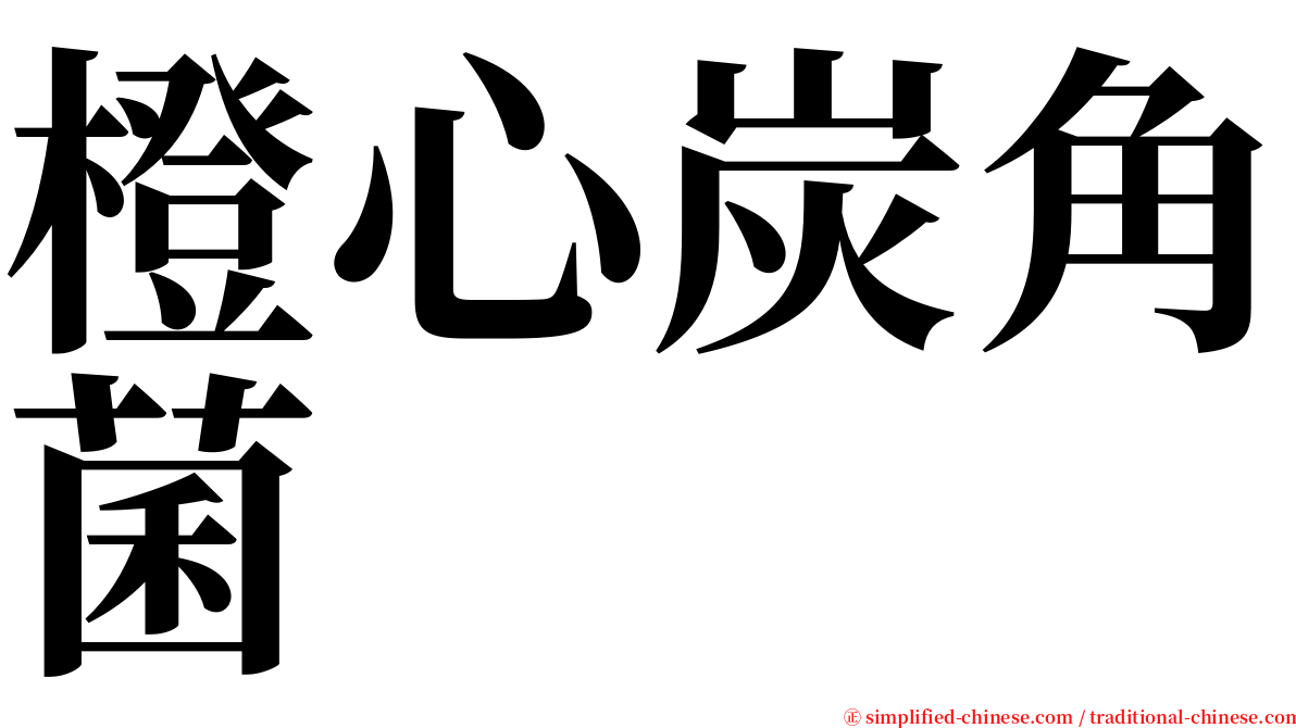 橙心炭角菌 serif font