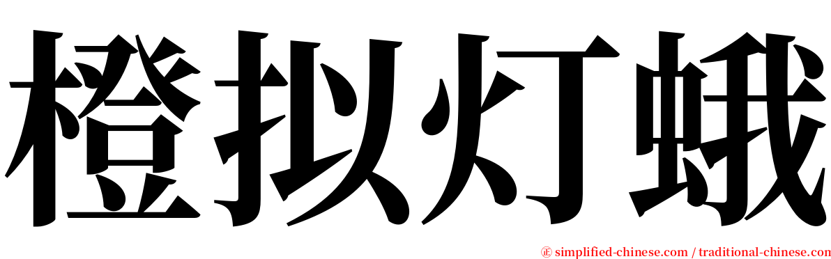 橙拟灯蛾 serif font