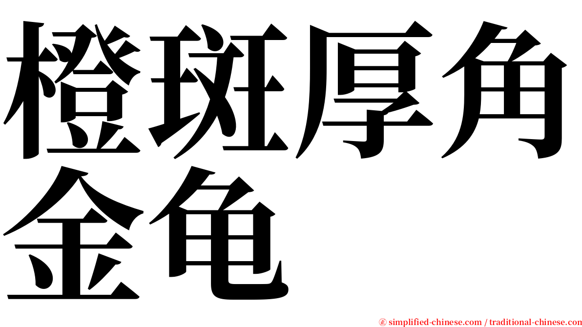 橙斑厚角金龟 serif font