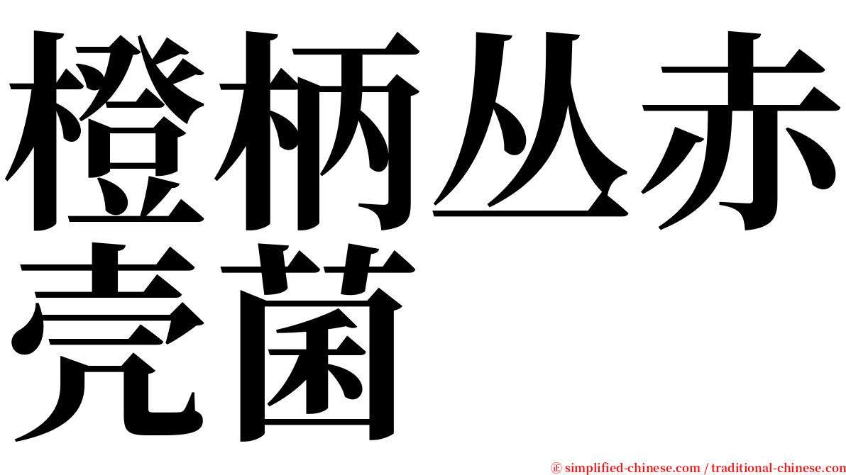 橙柄丛赤壳菌 serif font