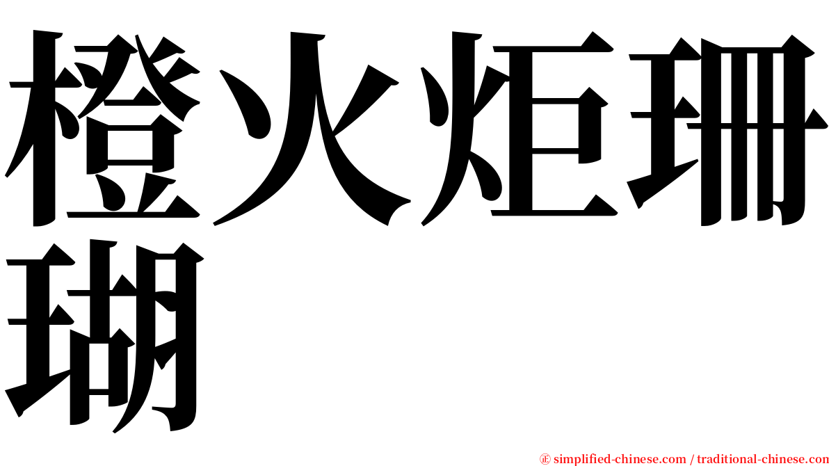 橙火炬珊瑚 serif font