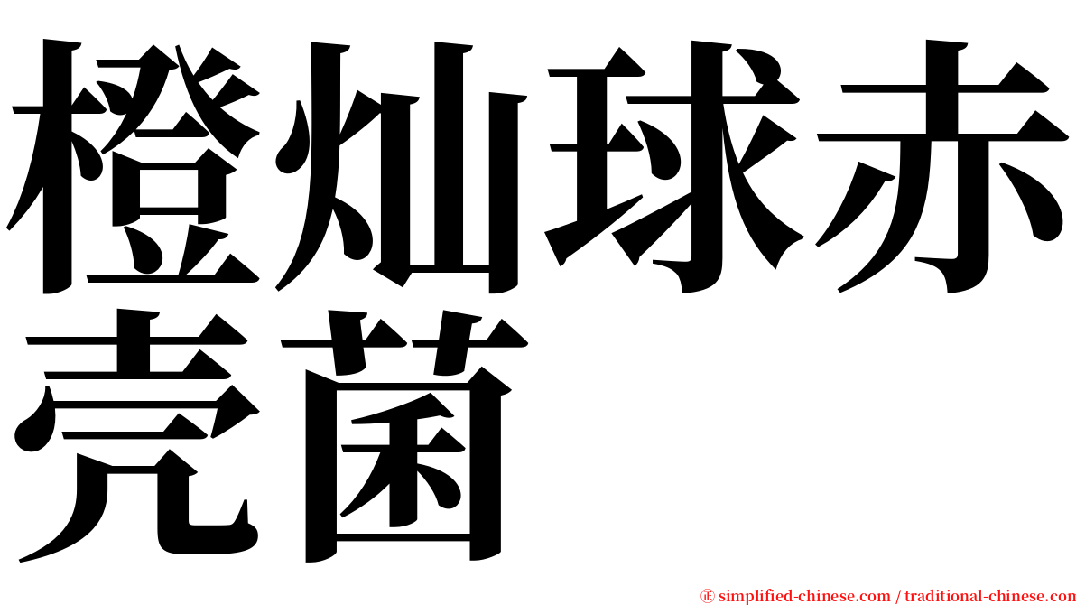 橙灿球赤壳菌 serif font