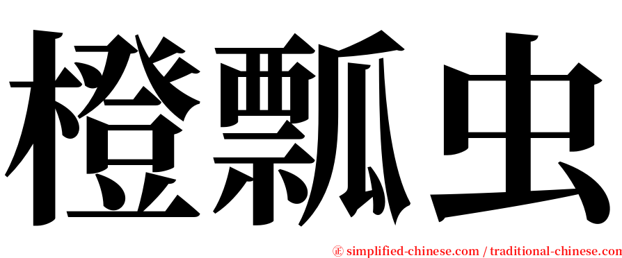 橙瓢虫 serif font