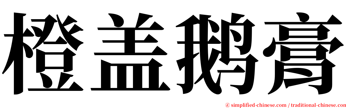 橙盖鹅膏 serif font