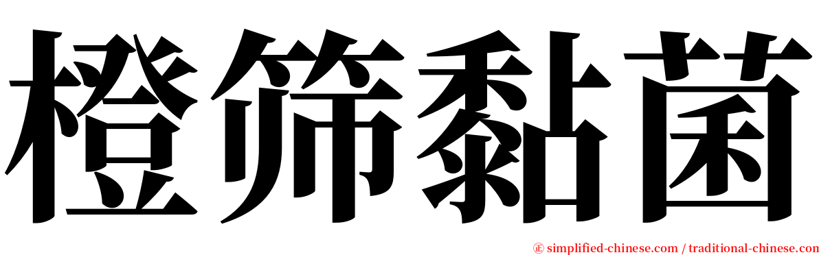 橙筛黏菌 serif font