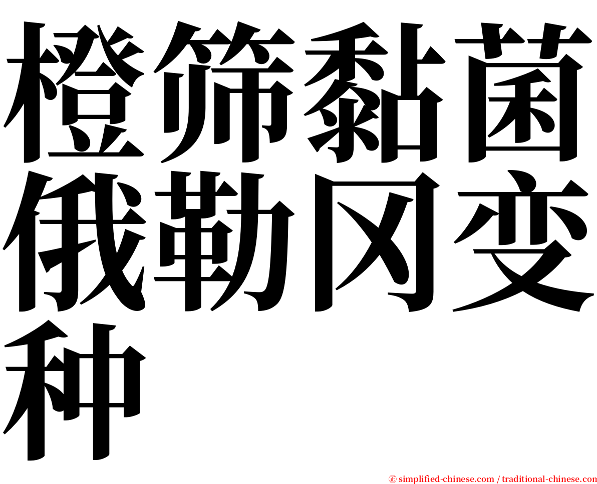 橙筛黏菌俄勒冈变种 serif font