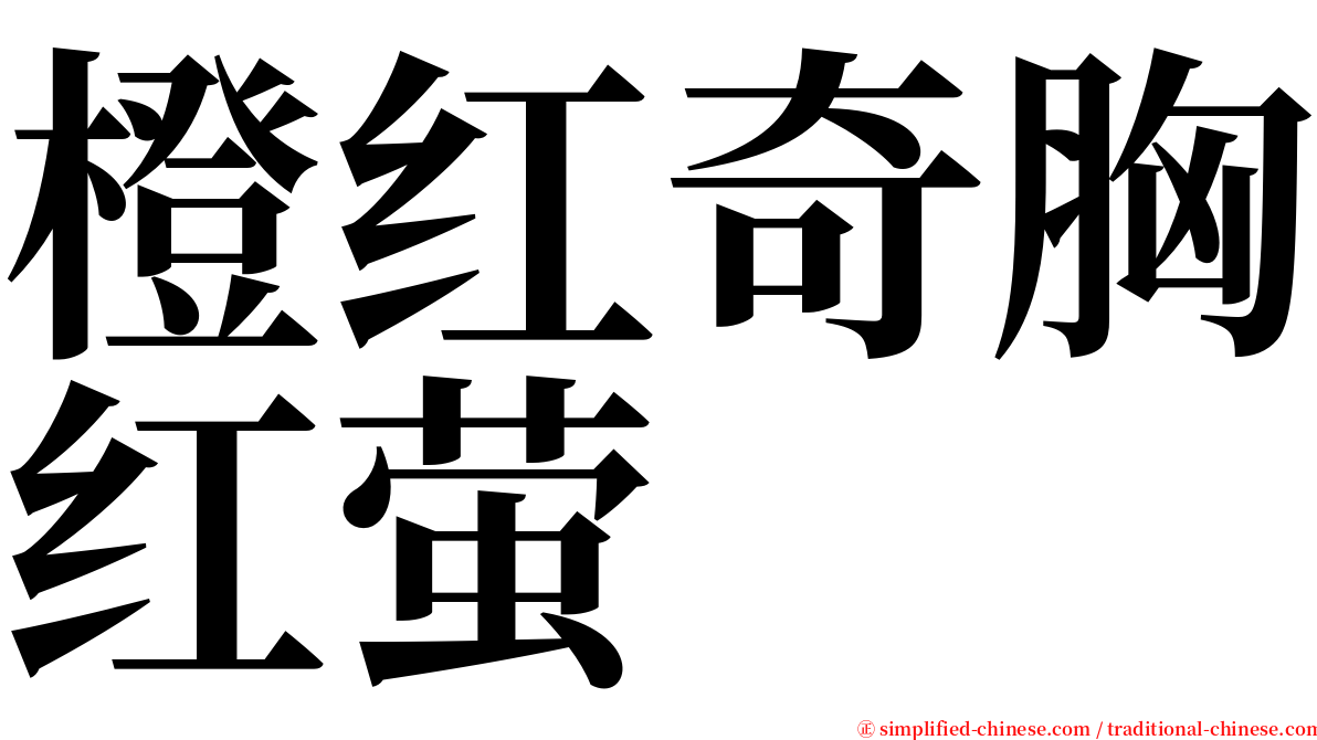 橙红奇胸红萤 serif font