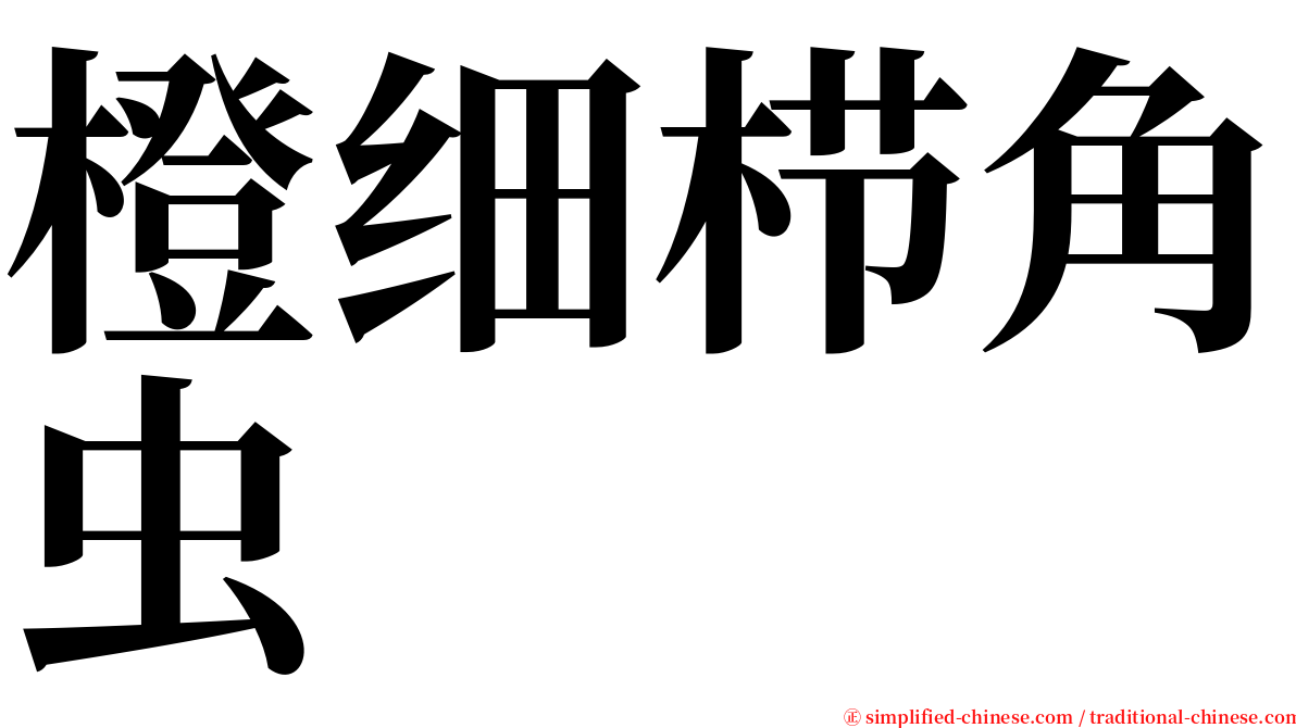 橙细栉角虫 serif font