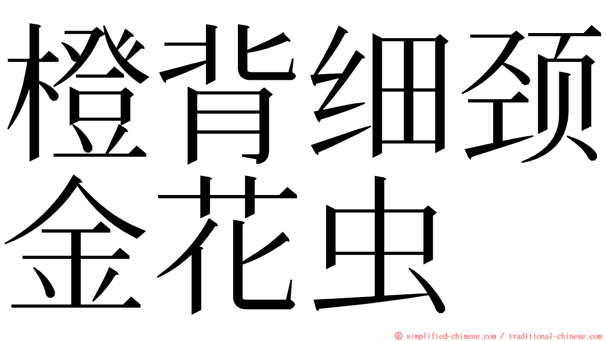 橙背细颈金花虫 ming font