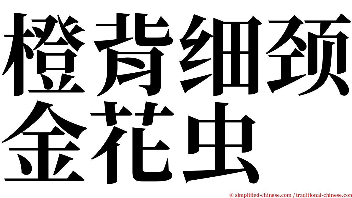 橙背细颈金花虫 serif font