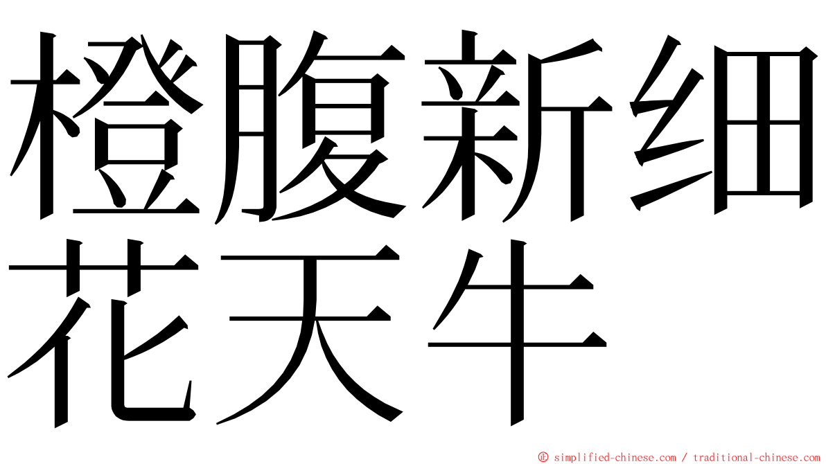 橙腹新细花天牛 ming font