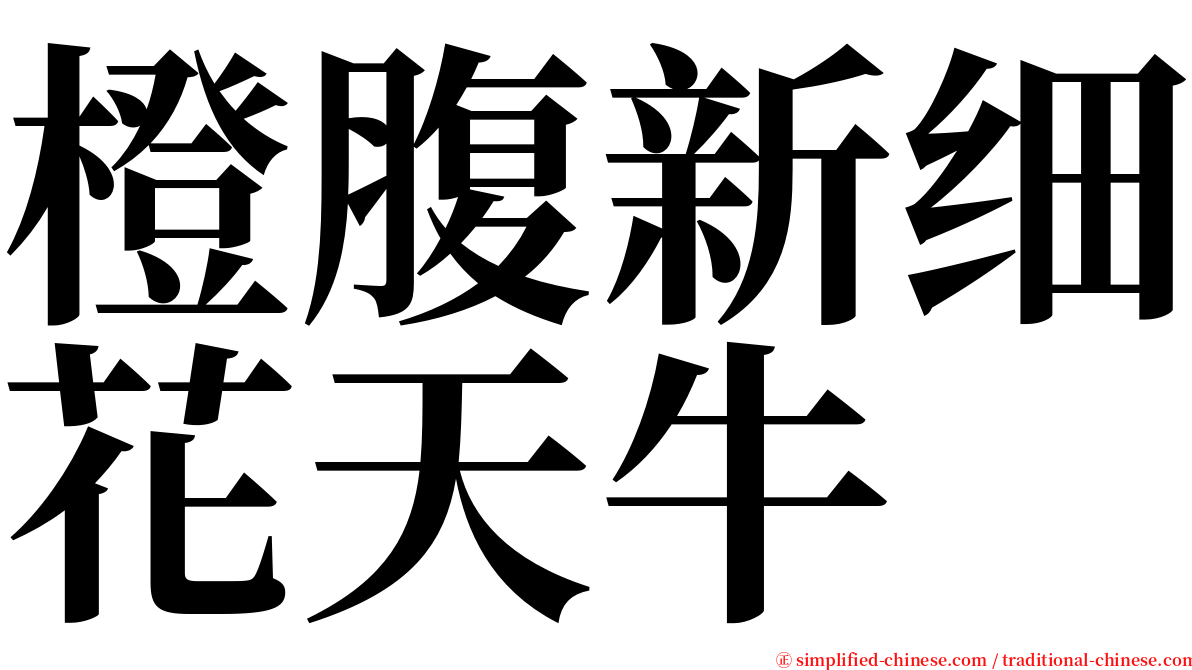 橙腹新细花天牛 serif font