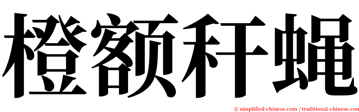 橙额秆蝇 serif font