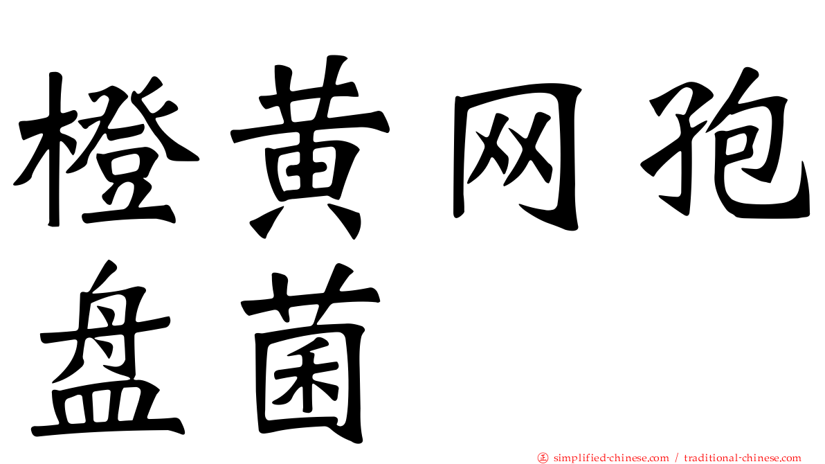 橙黄网孢盘菌