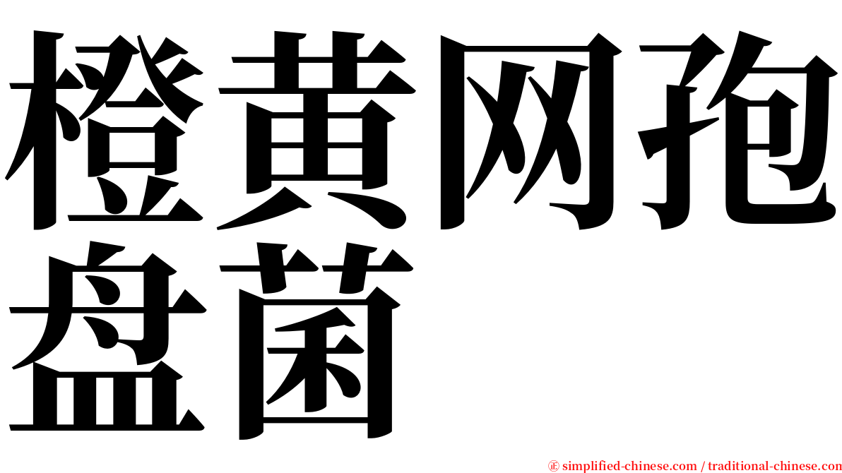 橙黄网孢盘菌 serif font