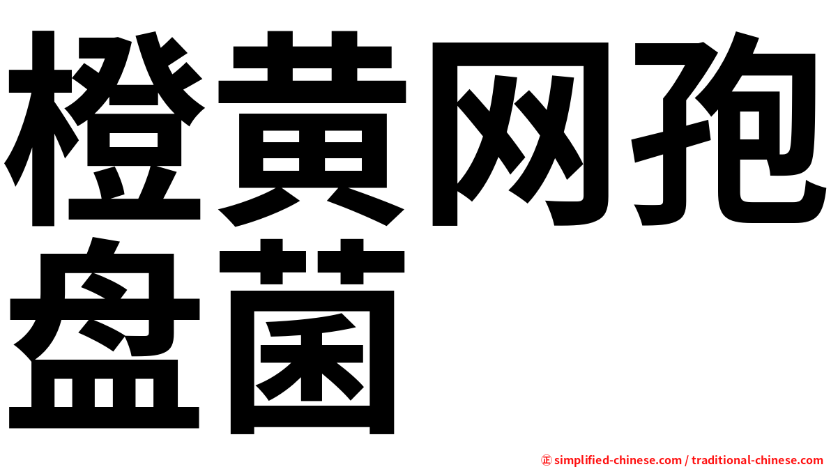 橙黄网孢盘菌