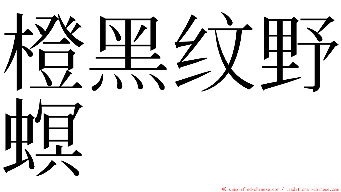 橙黑纹野螟 ming font