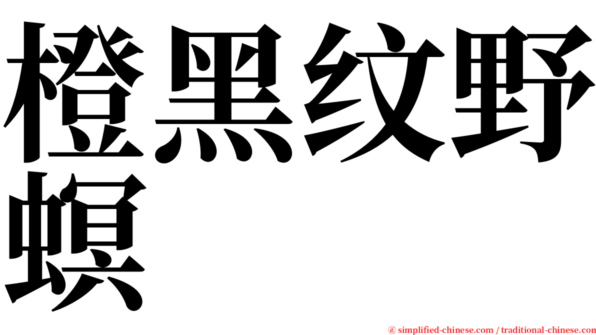 橙黑纹野螟 serif font