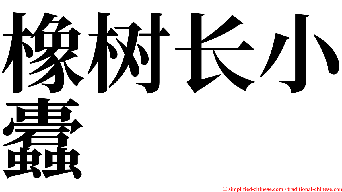 橡树长小蠹 serif font