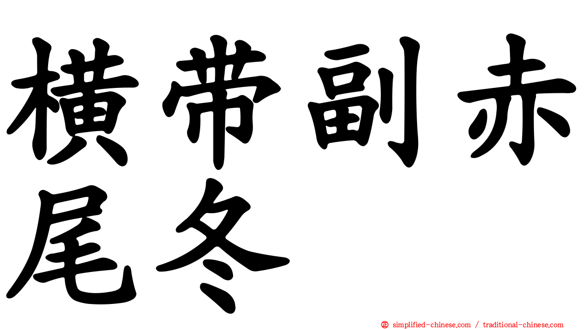 横带副赤尾冬